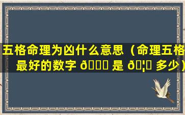 五格命理为凶什么意思（命理五格最好的数字 🐝 是 🦟 多少）